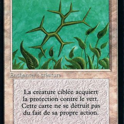 Green Ward - Rune de garde verte  [Foreign Black Border]