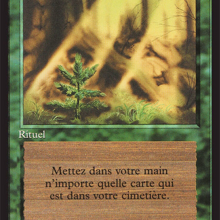 Regrowth - Réapparition  [Foreign Black Border]
