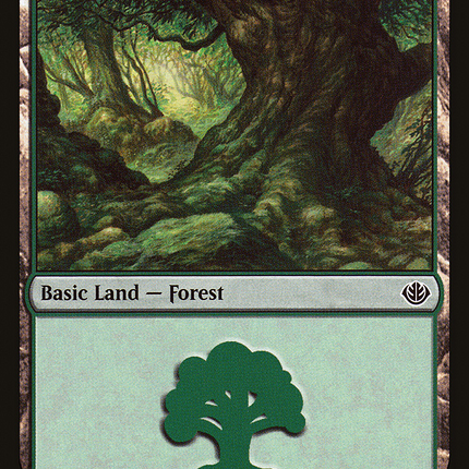 Forest (031) [Duel Decks Anthology: Garruk vs. Liliana]