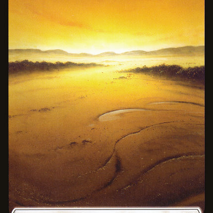 Plains (373) [Double Masters]