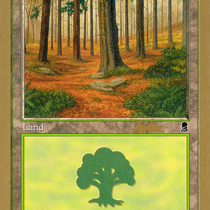 Forest (BK347) [World Championship Decks 2002]