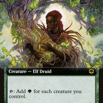 Circle of Dreams Druid (Extended Art) [Adventures in the Forgotten Realms]