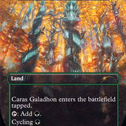 Tranquil Thicket (Borderless) [MagicFest 2023]