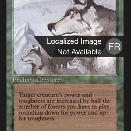 Aspect of Wolf - Aspect du loup  [Foreign Black Border]