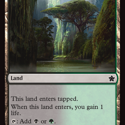 Jungle Hollow [Foundations]