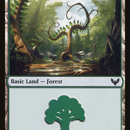 Forest (374) [Strixhaven: School of Mages]