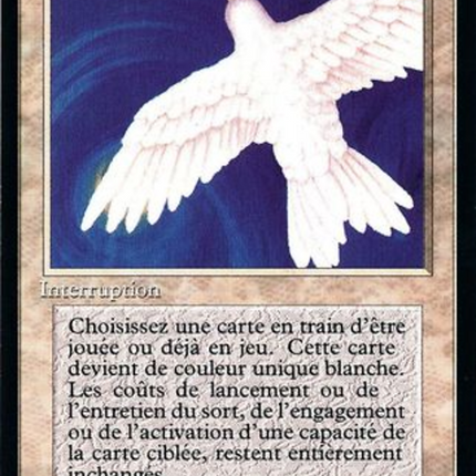 Purelace - Voile de pureté  [Foreign Black Border]