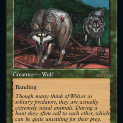 Timber Wolves (Retro) [30th Anniversary Edition]
