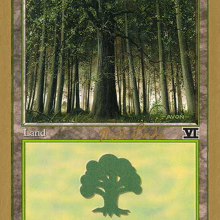 Forest (ML349) [World Championship Decks 1999]