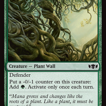 Wall of Roots [Commander: Tarkir: Dragonstorm]