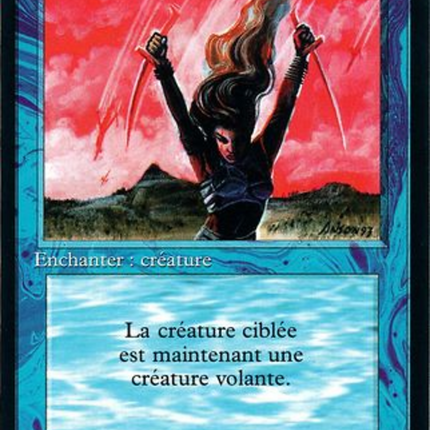 Flight - Vol  [Foreign Black Border]