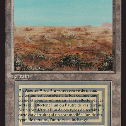Scrubland - Brousse  [Foreign Black Border]