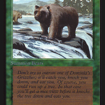 Grizzly Bears [Intl. Collectors' Edition]