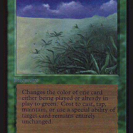 Lifelace [Intl. Collectors' Edition]