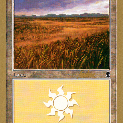 Plains (BK331A) [World Championship Decks 2002]