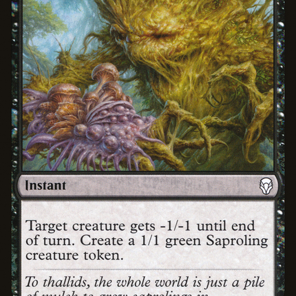 Fungal Infection [The List]