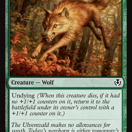 Young Wolf [Innistrad Remastered]