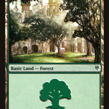 Forest (085) [Duel Decks: Jace vs. Vraska]