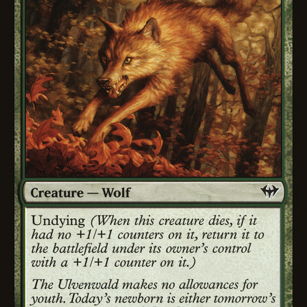 Young Wolf [The List]
