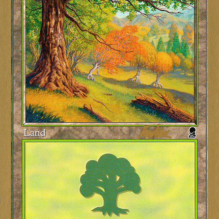 Forest (BK349) [World Championship Decks 2002]