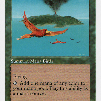 Birds of Paradise [Fifth Edition]