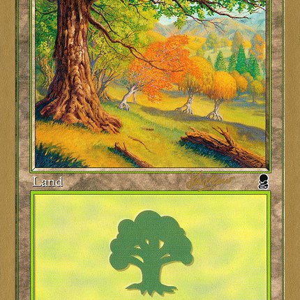 Forest (SHH349) [World Championship Decks 2002]