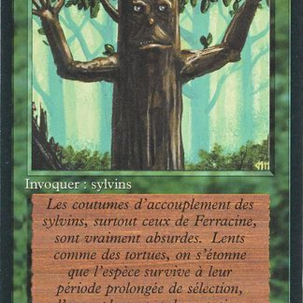 Ironroot Treefolk - Sylvins de Ferracine  [Foreign Black Border]