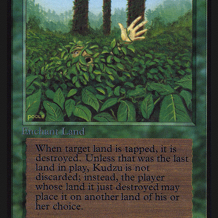 Kudzu [Intl. Collectors' Edition]