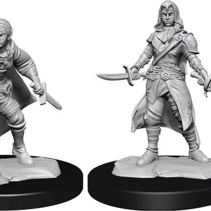 D&D Nolzur's Miniatures - Unprimed/Unpainted Minature Half-Elf Rogue Female