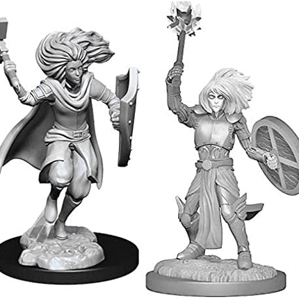 Dungeons & Dragons - Changeling Cleric Mini Figures