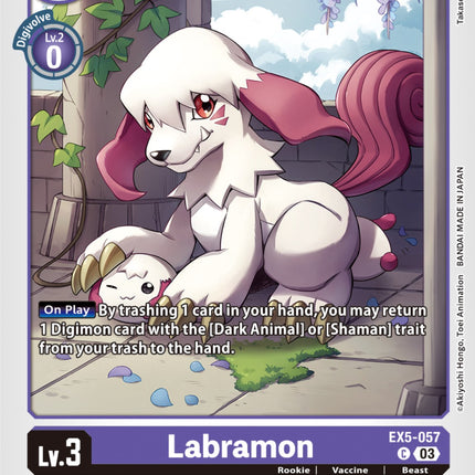 Labramon [EX5-057] [Animal Colosseum]