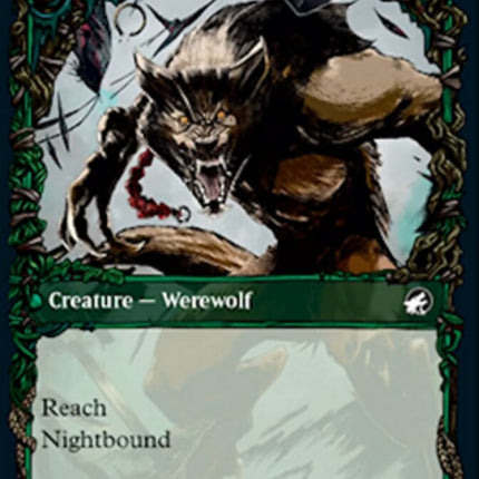 Bird Admirer // Wing Shredder (Showcase) [Innistrad: Midnight Hunt]