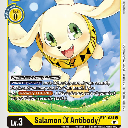 Salamon (X Antibody) [BT9-034] [X Record]
