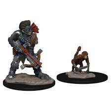 WIZK!DS Wardlings - Boy Rogue & Monkey