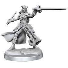 D&D Frameworks - Unassembled/Unprimed miniature: Tiefling Rogue (Female)