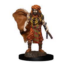 D&D Icons Of The Realms Premium Miniatures - Human Male Druid