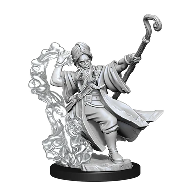 D&D Frameworks - Unassembled/Unprimed miniature: Human Wizard (Male)
